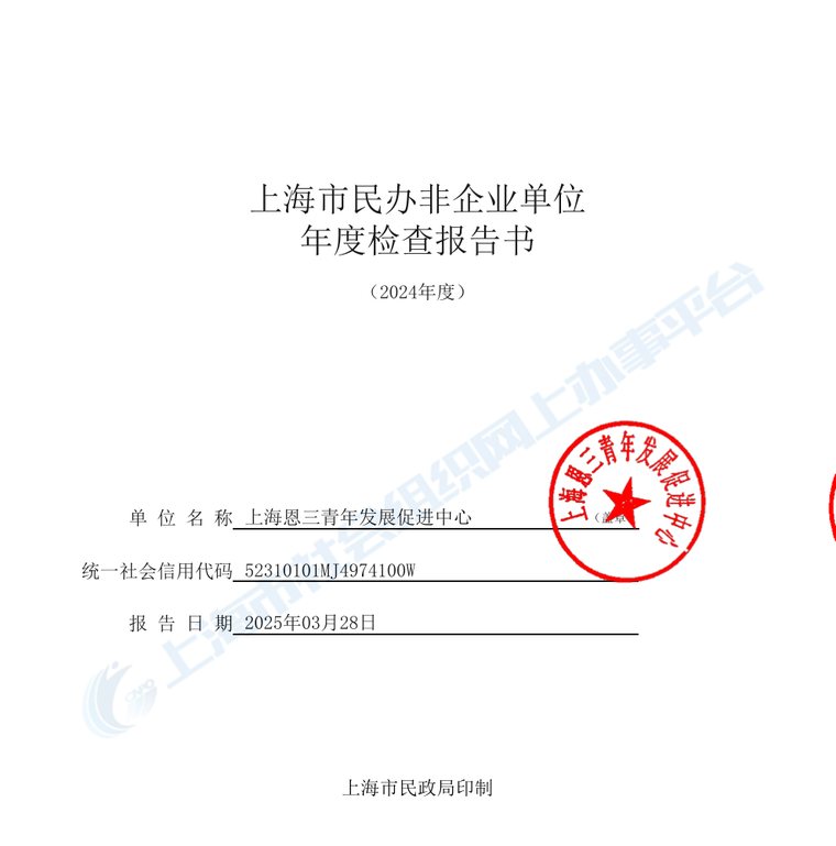 上海市民办非企业单位年度检查报告书（2024 年度）封面